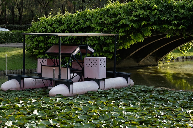 Suan Luang-JUN14-069